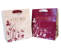 Manufacturers Exporters and Wholesale Suppliers of Printed Shopping Bag Gurgaon Haryana